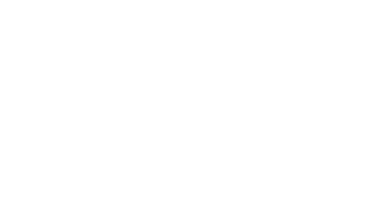Armurerie Elysees